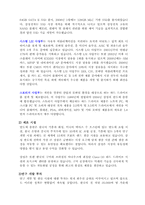 삼성반도체의 전략경영과 핵심역량-4