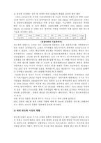 삼성반도체의 전략경영과 핵심역량-12