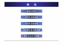 응원문화 발표자료-2
