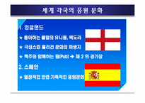 응원문화 발표자료-11