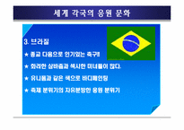 응원문화 발표자료-12