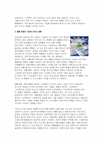 외환위험증가에 대비한 환리스크 관리전략-2