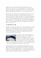 외환위험증가에 대비한 환리스크 관리전략-3