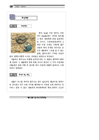 공룡과 지층탐사자료집-20