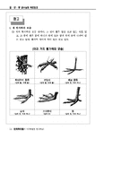 철새탐조_자료집-16