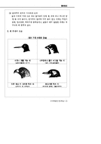 철새탐조_자료집-17