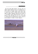 갯벌탐사_자료집-13