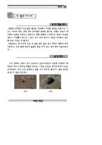 갯벌탐사_자료집-17