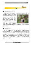 숲체험_자료집 레포트-3