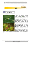 숲체험_자료집 레포트-6