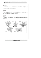 숲체험_자료집 레포트-8