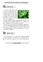 숲체험_자료집 레포트-9