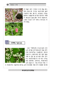 숲체험_자료집 레포트-10