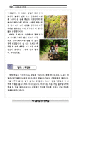 숲체험_자료집 레포트-14