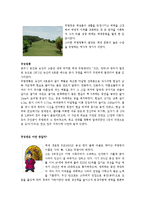 공주시_문화유산자료집-2