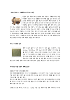 공주시_문화유산자료집-4
