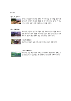 공주시_문화유산자료집-6