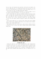 김춘수와 세잔 그리고 잭슨 플록-5
