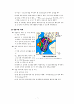 푸트라자야 - 신행정도시 및 신행정수도 해외 사례-8