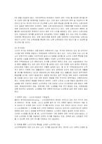 [노인복지] 노인복지정책의 문제점과 방안, 나아갈 방향-13