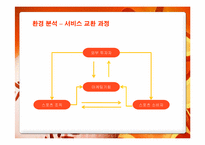 [마케팅] 롯데자이언츠의 마케팅 전략-8