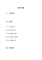 피아니스트 [피아니스트 감상문] 피아니스트 영화감상문-2
