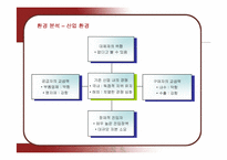[마케팅] 현대차의 미국시장 진출과 제네시스 마케팅-11