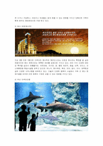 [관광경영] 시티투어 상품 개발과 발전 방향-9