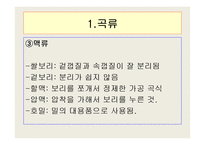 곡류와과일의 종류및 특성-6
