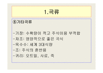 곡류와과일의 종류및 특성-8