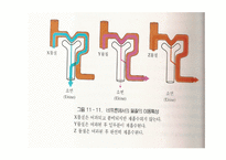[임상영양학] 사구체신염의 정의 및 관련 증상-7