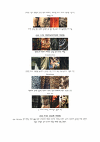 2010 FW 트렌드 2011 SS트렌드-4