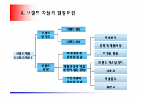 [마케팅] 브랜드의 개념과 관리-12