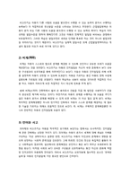 비고츠키의 인지이론에 대한 모든 것(비고츠키의 사회문화적 인지이론의 정의 및 개념, 의미, 피아제 이론과의 비교, 문제점과 한계 등)-5