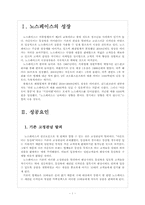 [노스페이스]노스페이스 성공요인 분석 보고서-3