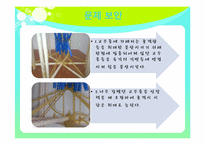 계란 낙하 실험 프리젠테이션 ppt-9