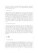 [쉘라인]쉘라인 아프리카 시장 진출전략-9