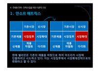[쉘라인]쉘라인 아프리카 시장 진출전략 PPT자료-10
