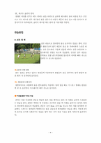 풋살 [누구나 쉽게 즐길 수 있는 풋살 교본 -규칙 및 Q&A로 구성]-8