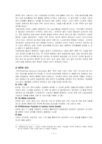 ERP의 지식경영 성공전략에 대한 연구-4
