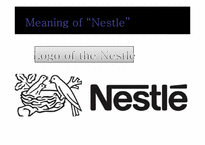 [마케팅] Transnational Company Nestle(네슬레)의 마케팅전략-5