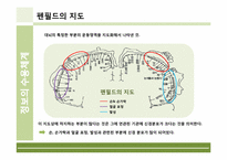 [인체의신비] 정보의 수용체계에 관한 분석-6