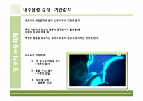[인체의신비] 정보의 수용체계에 관한 분석-9