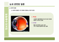 [인체의신비] 정보의 수용체계에 관한 분석-18
