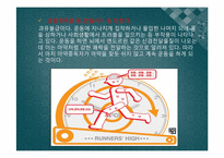 [한국사회의이해] 외모지상주의가 우리사회에 끼친영향에 관한 분석-11