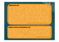 [한국사회의이해] 외모지상주의가 우리사회에 끼친영향에 관한 분석-15