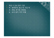 [한국사회의이해] 외모지상주의가 우리사회에 끼친영향에 관한 분석-17
