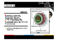 신종인플루엔자 분석-10