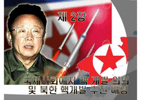 [북한학] 북핵 폐기 위한 외교및 군사전략-5