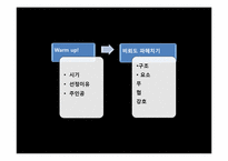 [한국문학과대중문화] 비뢰도를 통한 무협소설의 특징 분석-11